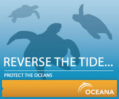 Reverse the Tide: Protect the Oceans